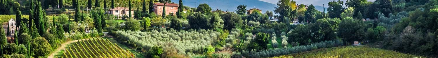 Italienische Rotweine