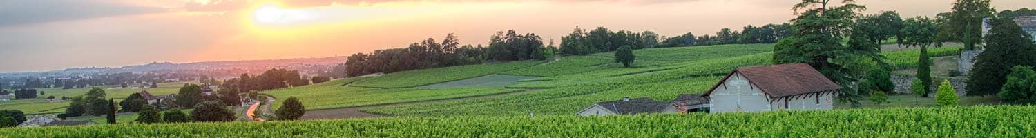 Französische Weissweine